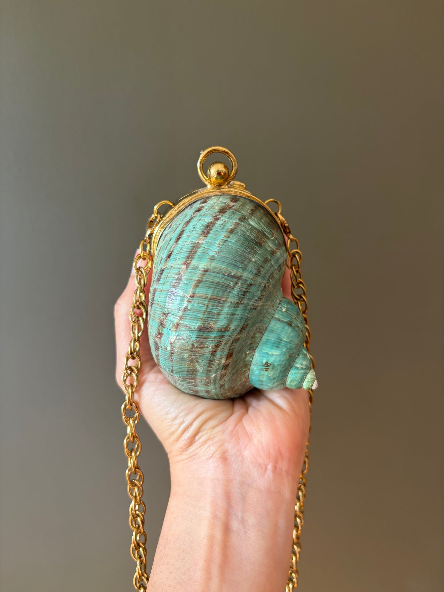Turquoise Spiral Seashell Clutch With Abalone Endcap & Gold Hardware (Mini clutch)