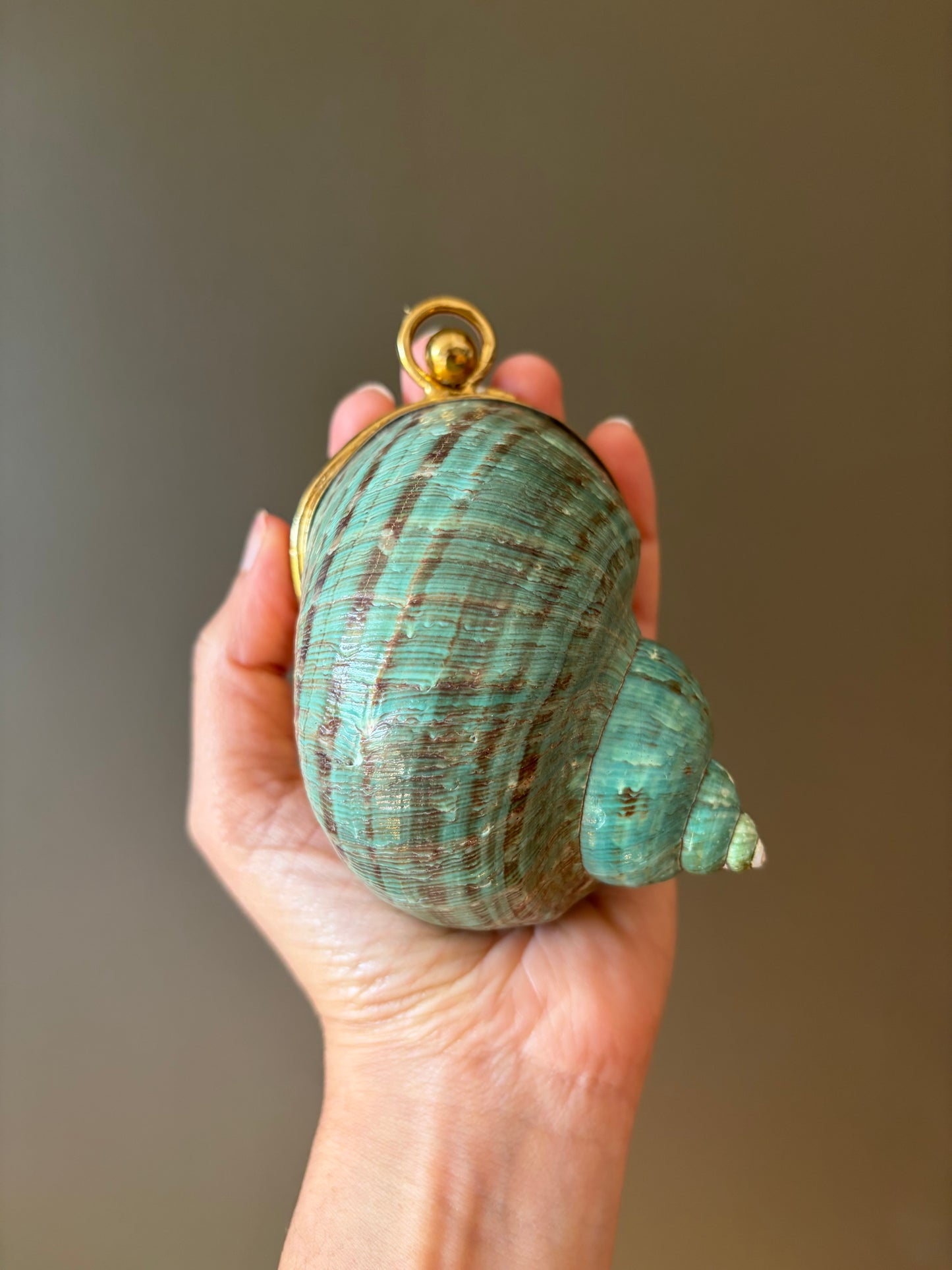 Turquoise Spiral Seashell Clutch With Abalone Endcap & Gold Hardware (Mini clutch)