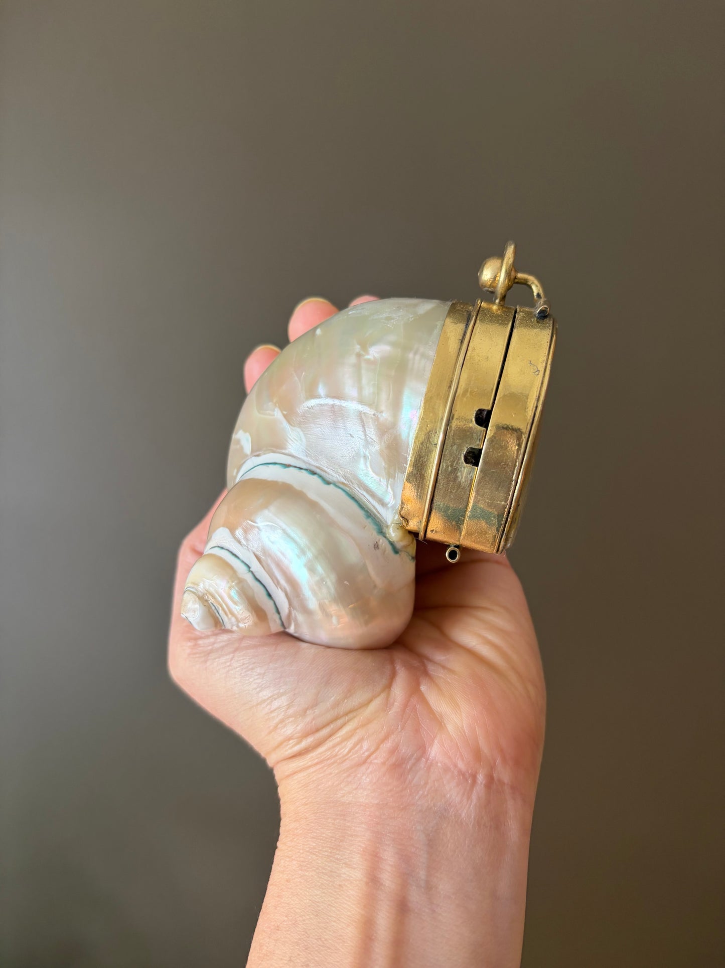 Mother of Pearl Seashell Clutch – Gold Frame Mini Minaudière