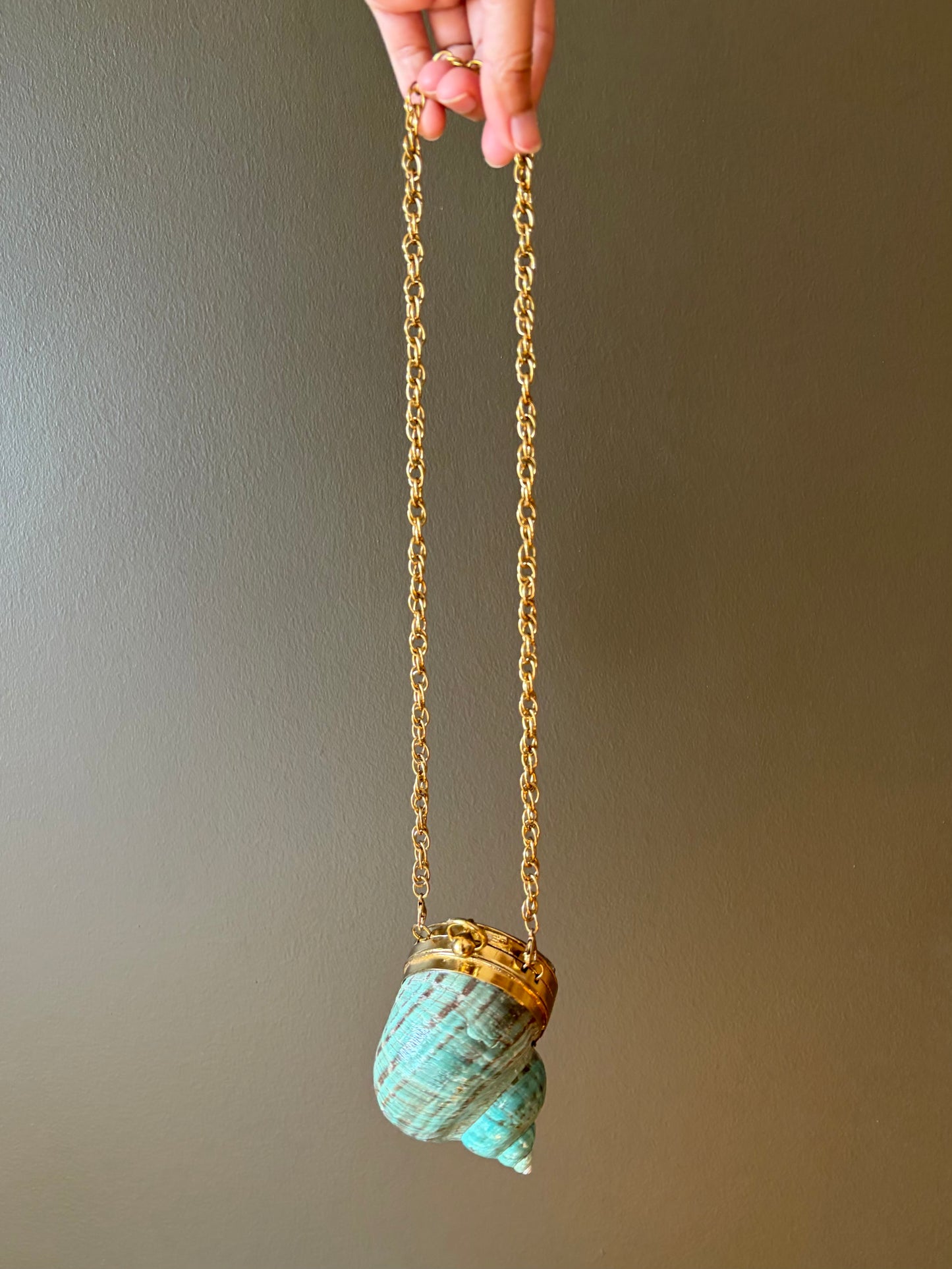 Turquoise Spiral Seashell Clutch With Abalone Endcap & Gold Hardware (Mini clutch)