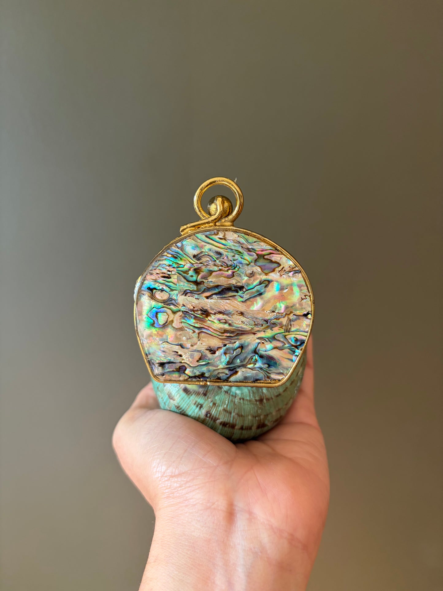 Turquoise Spiral Seashell Clutch With Abalone Endcap & Gold Hardware (Mini clutch)