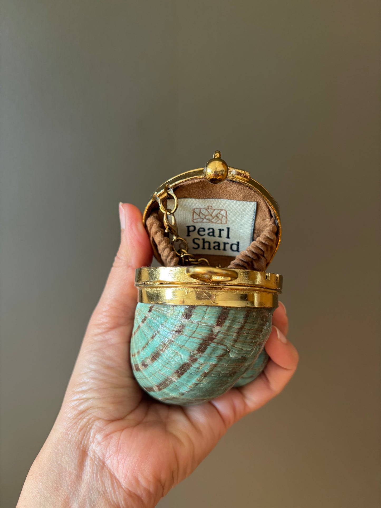 Turquoise Spiral Seashell Clutch With Abalone Endcap & Gold Hardware (Mini clutch)