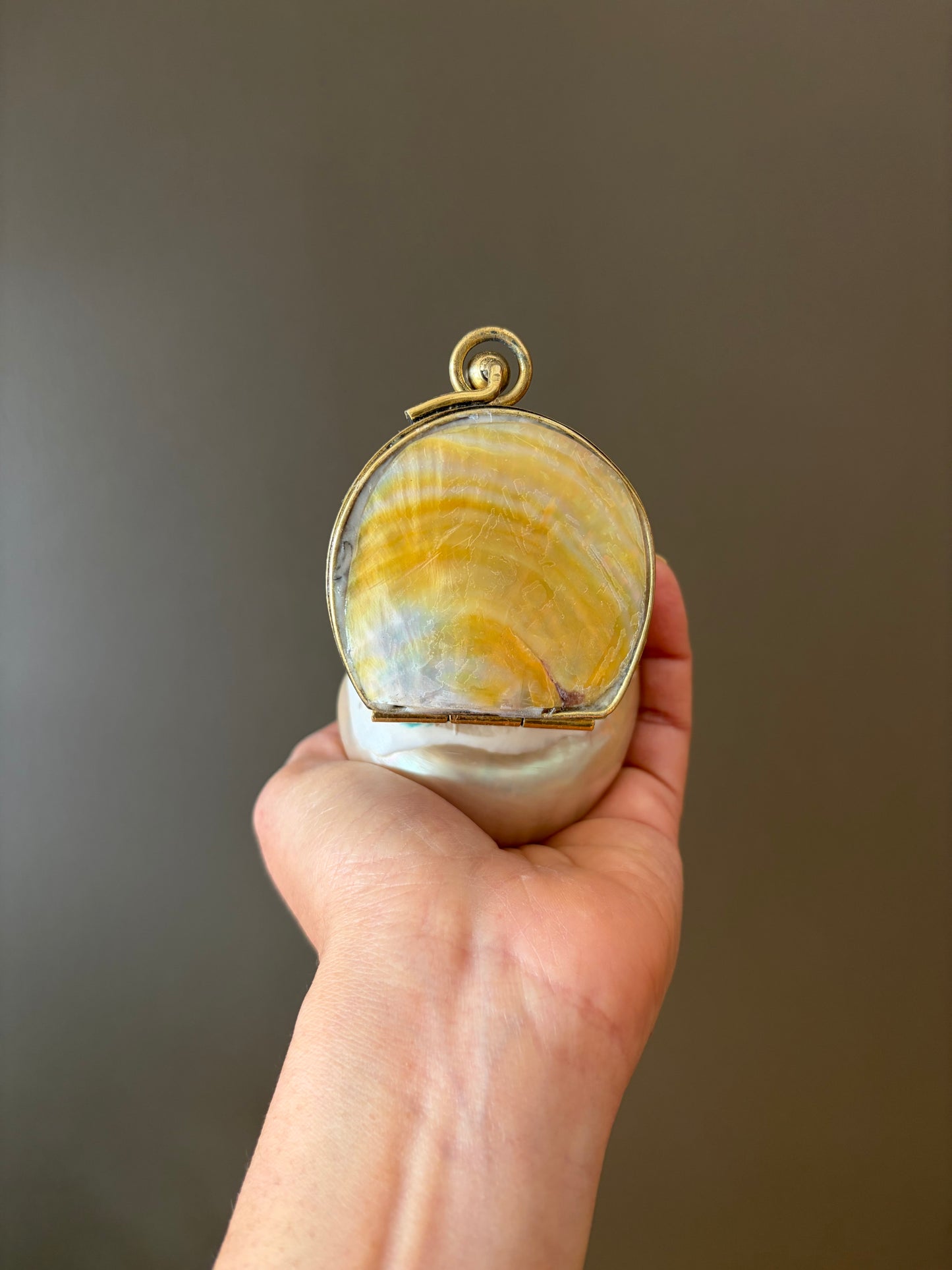 Mother of Pearl Seashell Clutch – Gold Frame Mini Minaudière