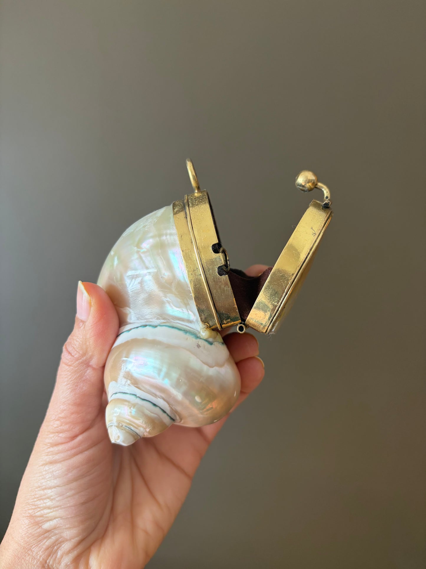 Mother of Pearl Seashell Clutch – Gold Frame Mini Minaudière