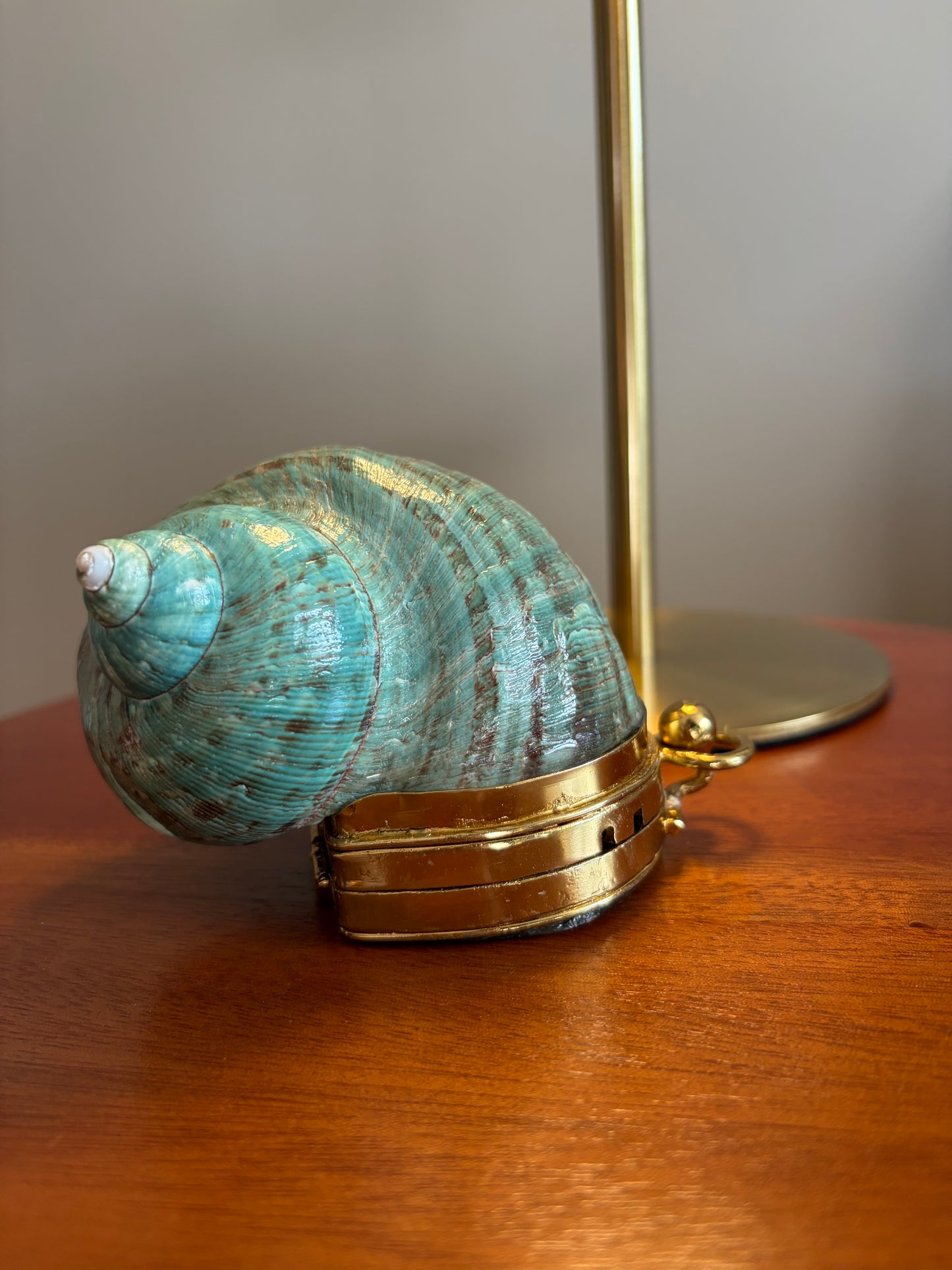 Turquoise Spiral Seashell Clutch With Abalone Endcap & Gold Hardware (Mini clutch)