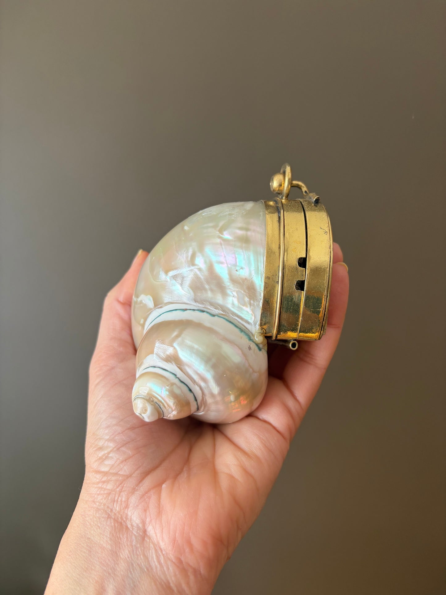 Mother of Pearl Seashell Clutch – Gold Frame Mini Minaudière