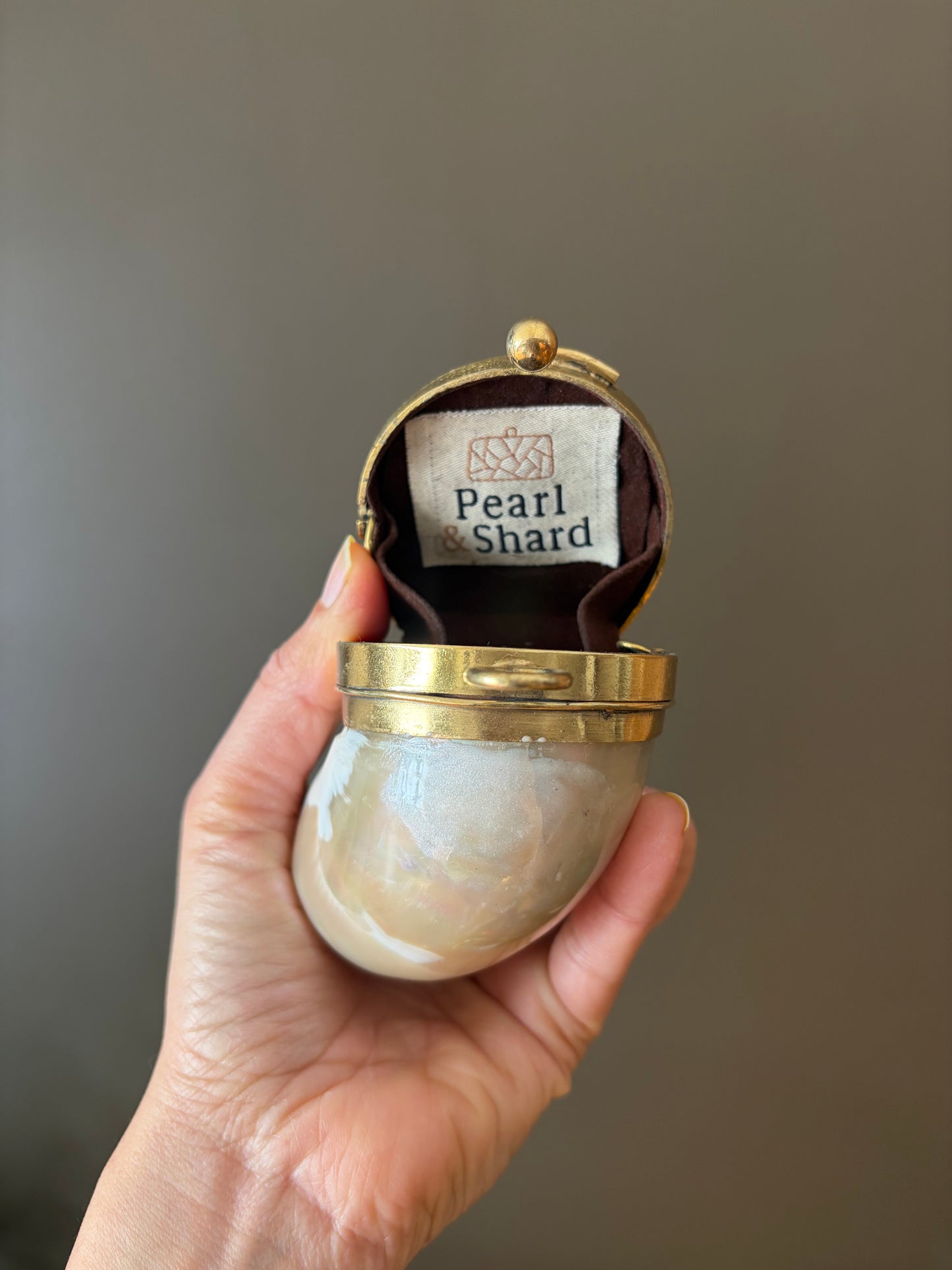 Mother of Pearl Seashell Clutch – Gold Frame Mini Minaudière