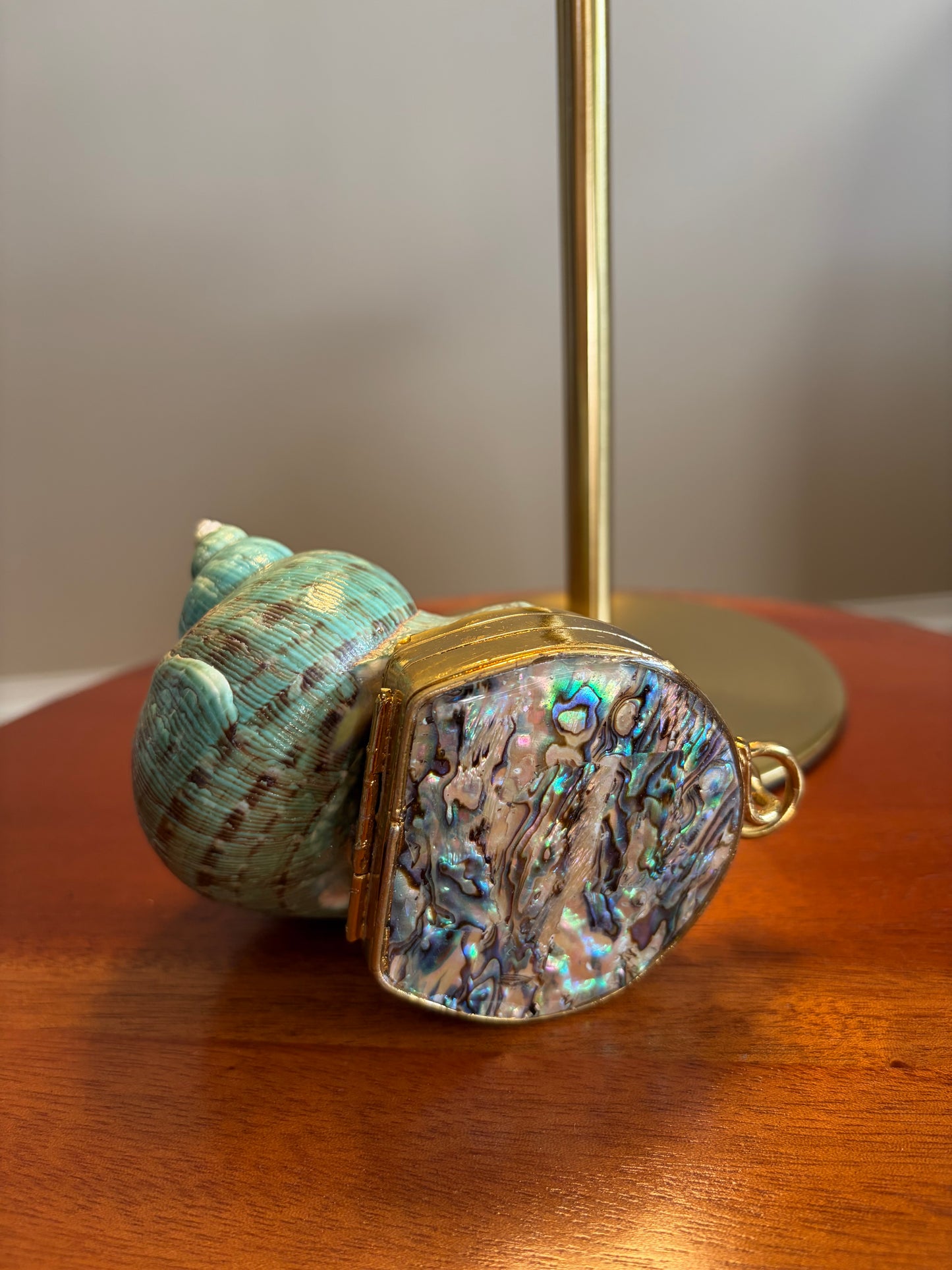 Turquoise Spiral Seashell Clutch With Abalone Endcap & Gold Hardware (Mini clutch)