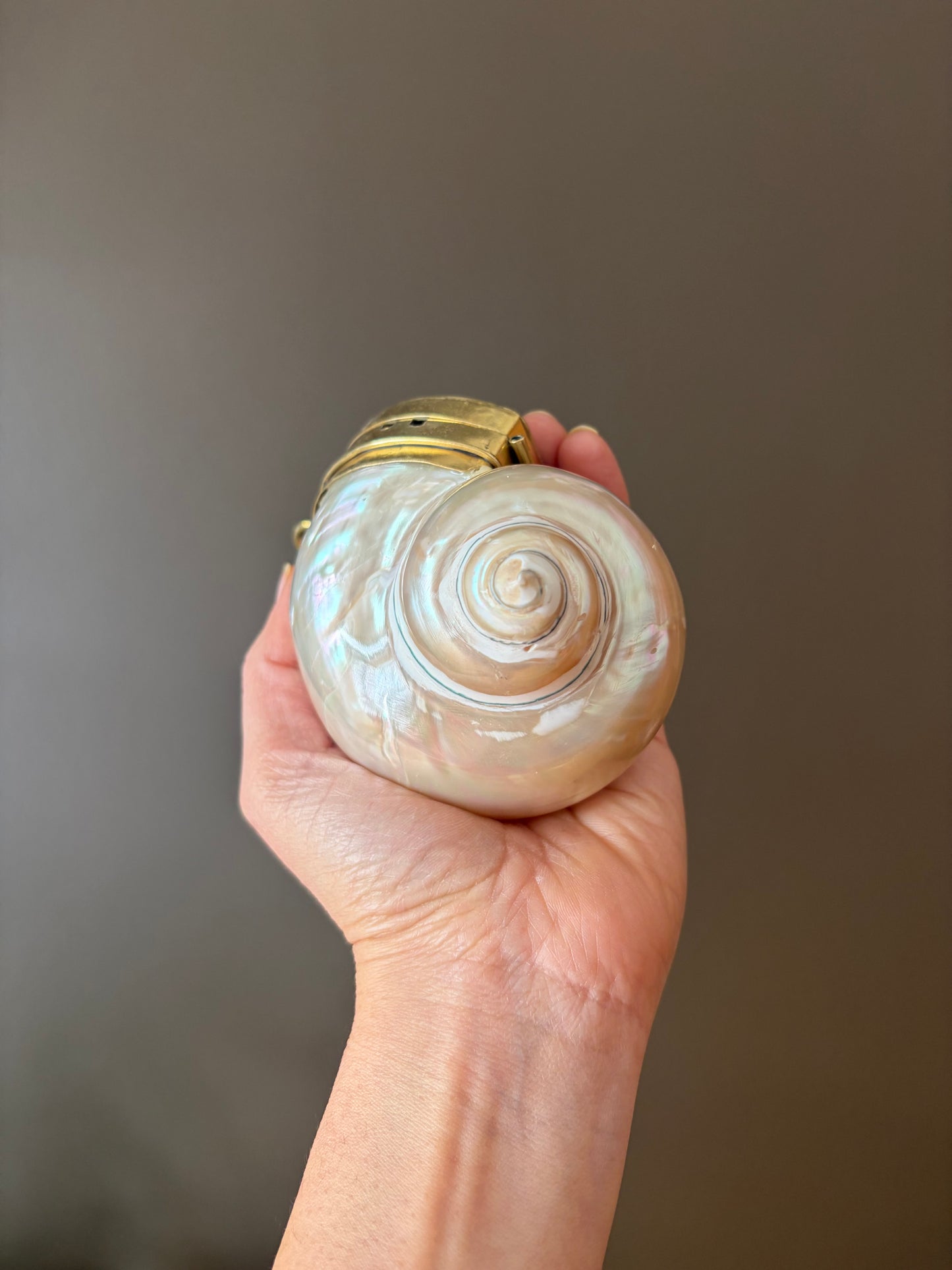 Mother of Pearl Seashell Clutch – Gold Frame Mini Minaudière