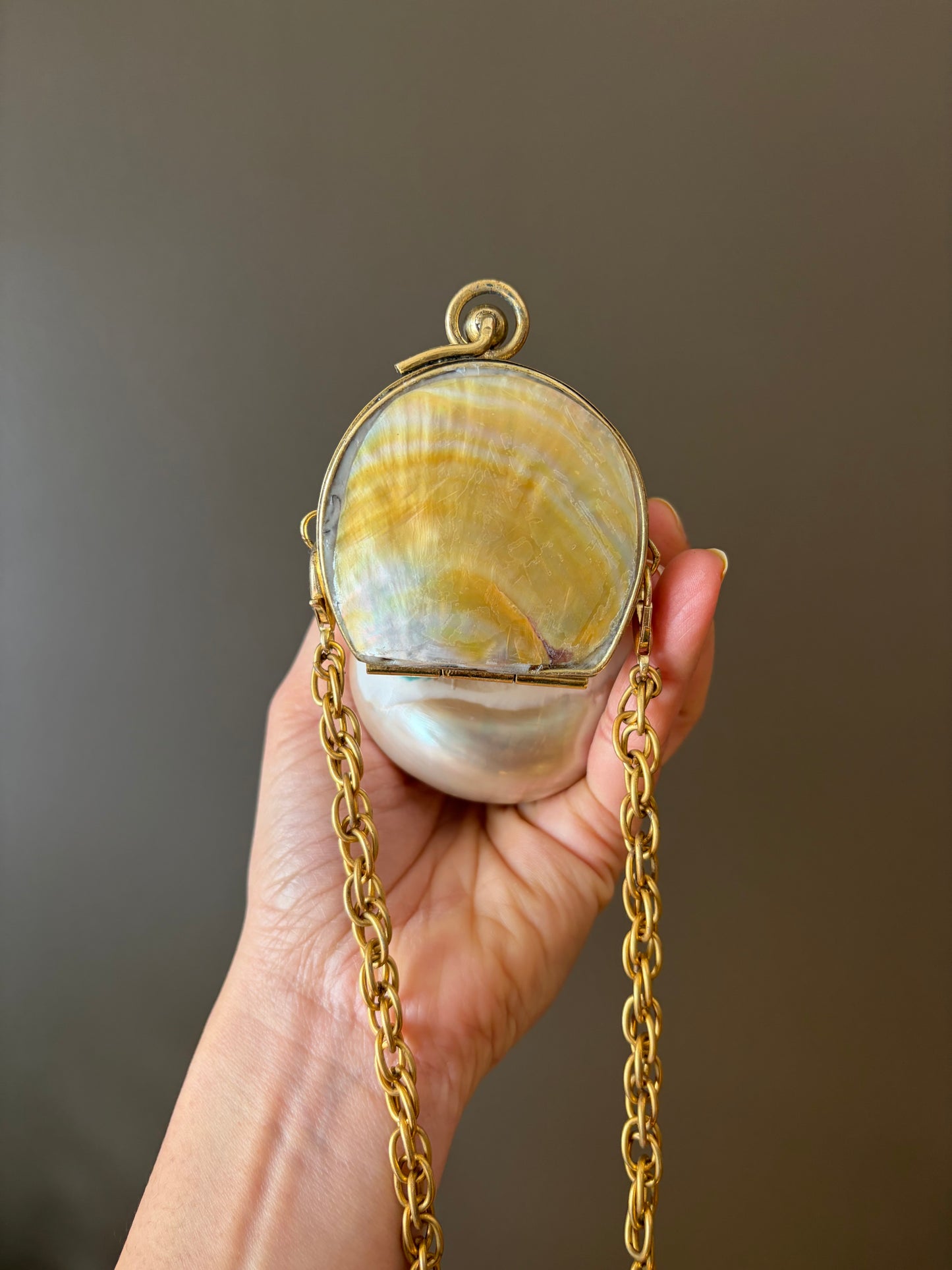 Mother of Pearl Seashell Clutch – Gold Frame Mini Minaudière