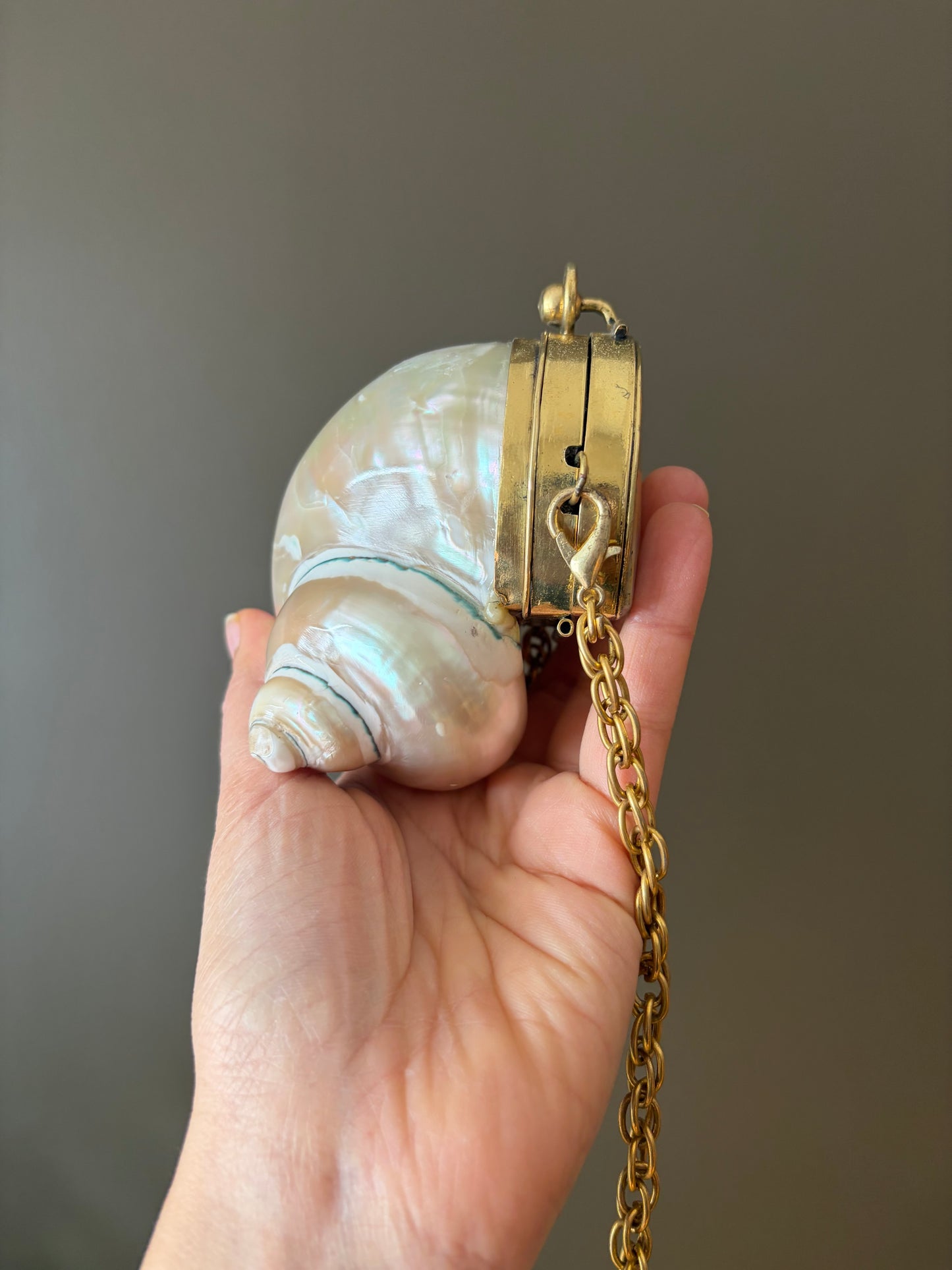 Mother of Pearl Seashell Clutch – Gold Frame Mini Minaudière