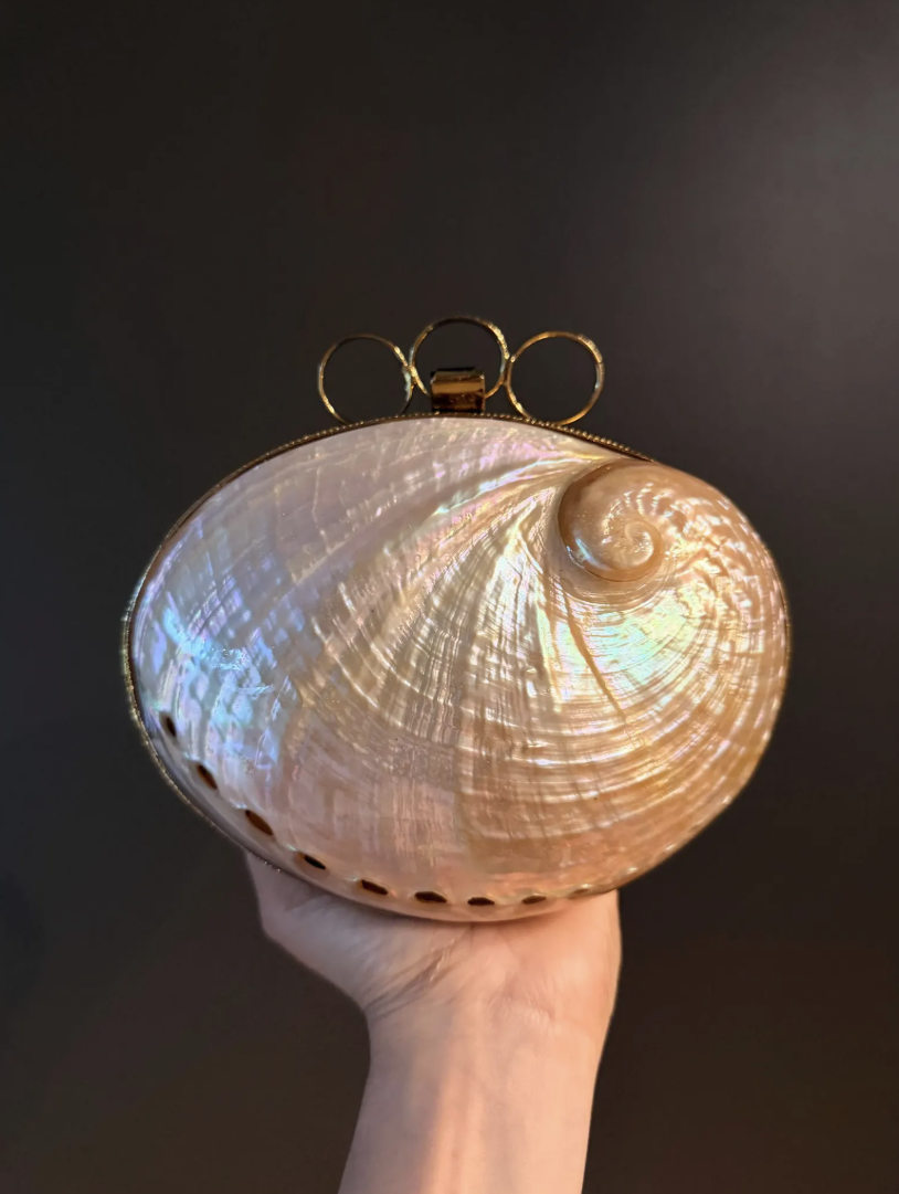 Mother-of-Pearl Seashell Clutch