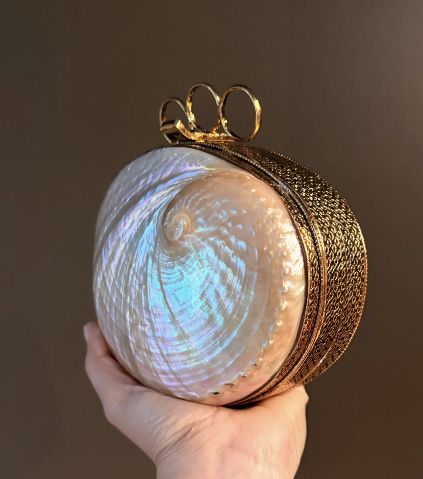 Mother-of-Pearl Seashell Clutch