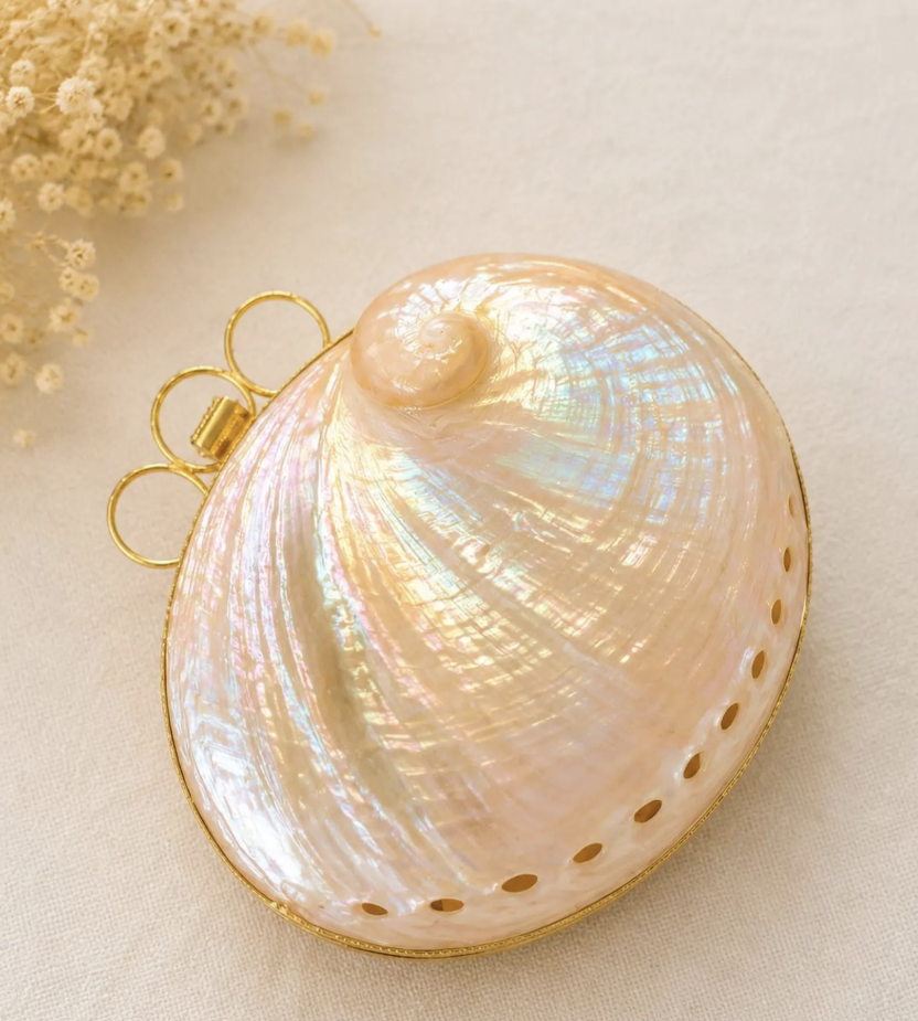 Mother-of-Pearl Seashell Clutch