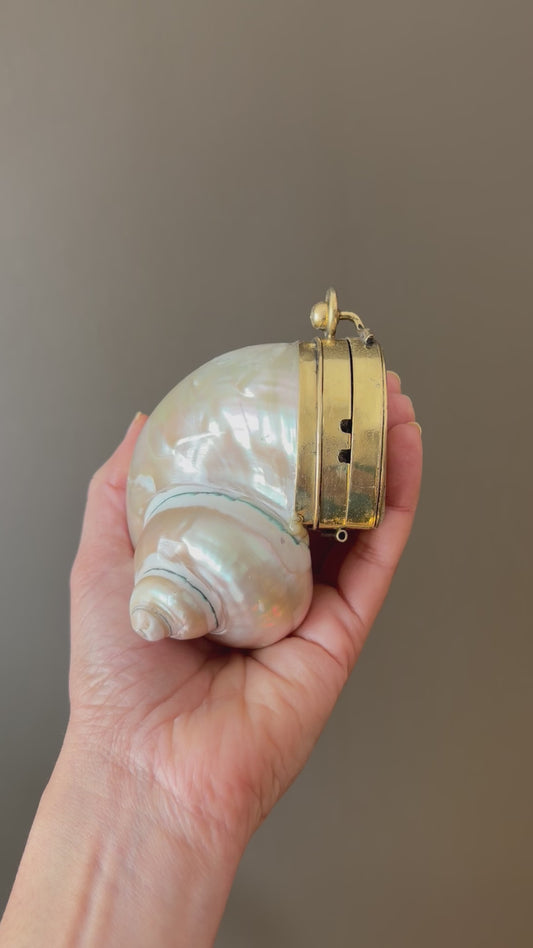 Mother of Pearl Seashell Clutch – Gold Frame Mini Minaudière