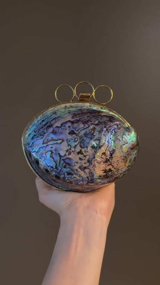 Blue Abalone Shell Clutch
